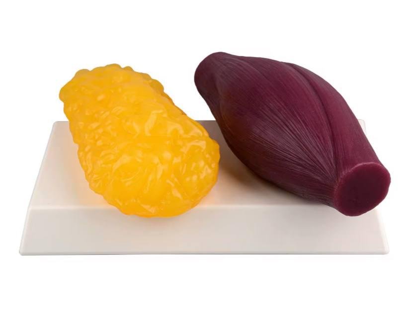 سُعدنا في مجموعة بحرة إلكتريك باستقبال نائب الرئيس التنفيذي للشراكات وبناء القدرات في هيئة المحتوى المحلي والمشتريات الحكومية، ومدير عام المنطقة الغربية بالهيئة السعودية للمدن الصناعية ومناطق التقنية.